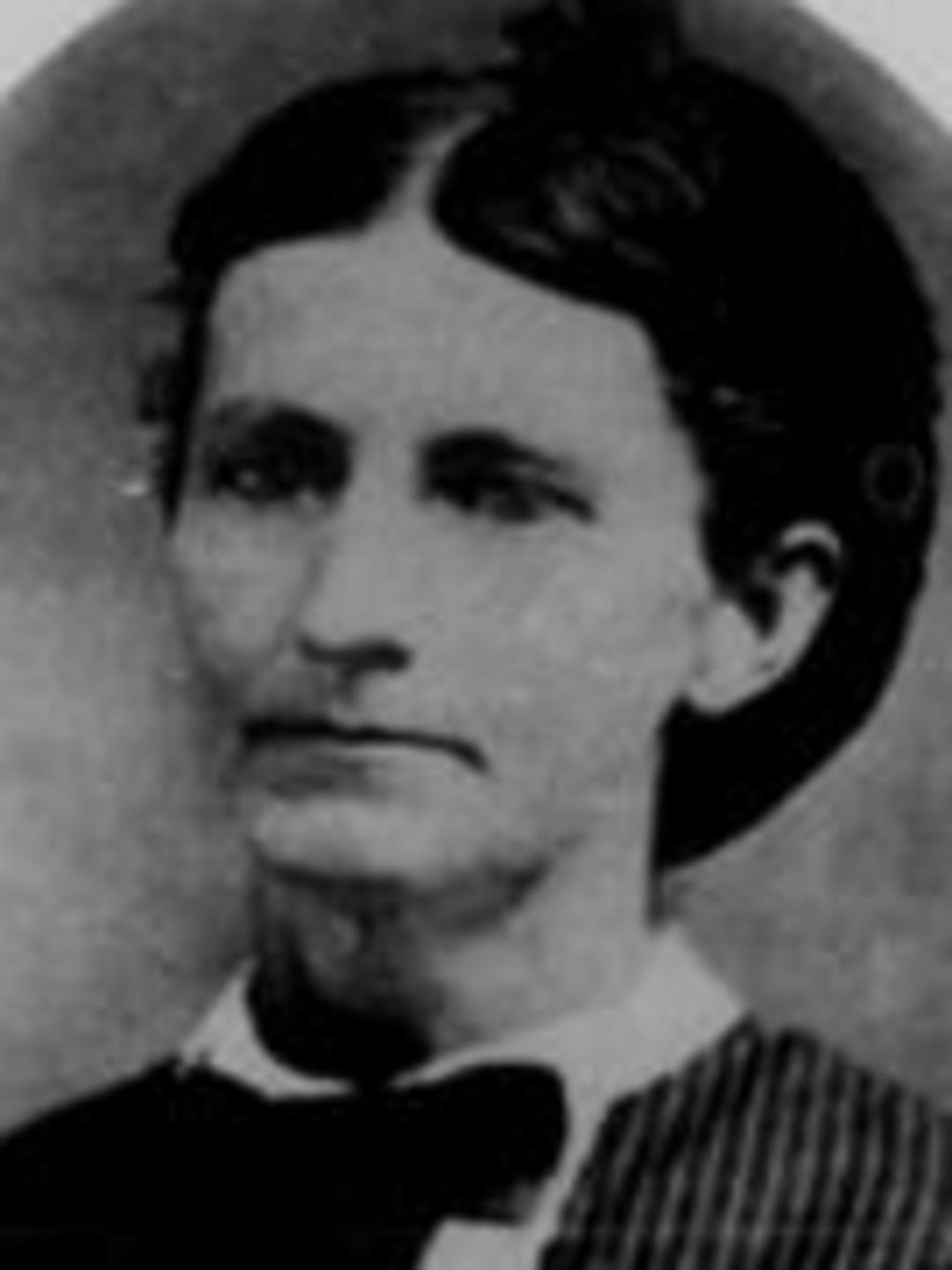 Sarah Jane Elliott (1826 - 1880) Profile